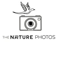 TheNaturePhotos