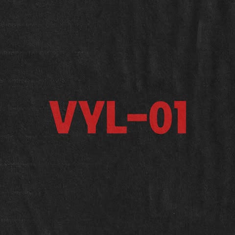 VYL 01